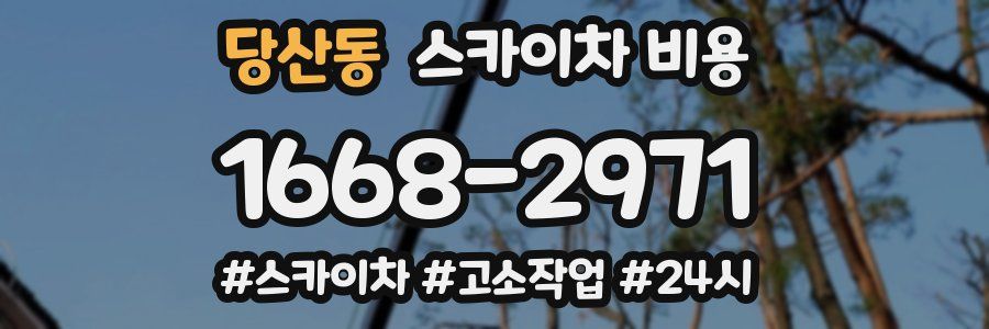 당산동 스카이차 비용