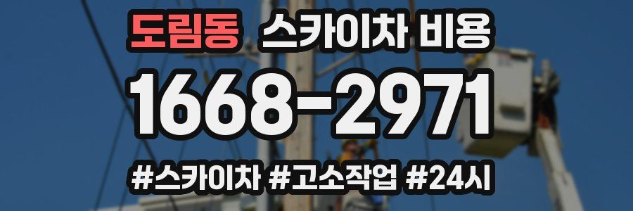 도림동 스카이차 비용