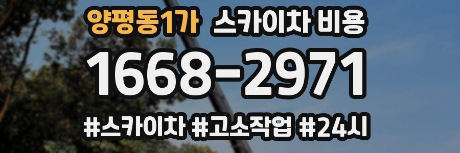 양평동1가 스카이차 비용