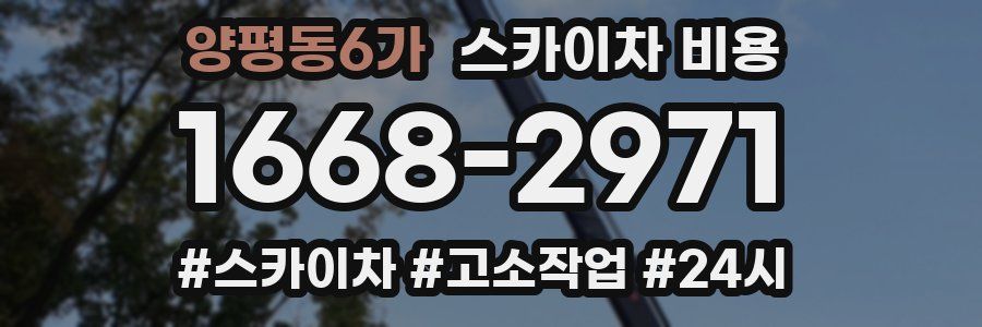 양평동6가 스카이차 비용
