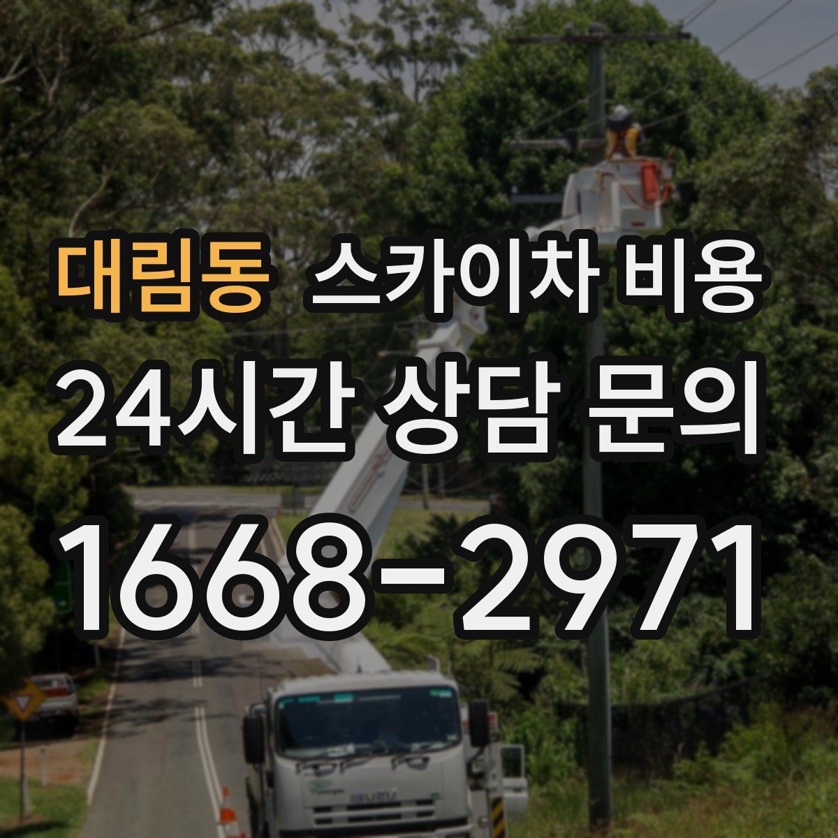 대림동 스카이차 비용