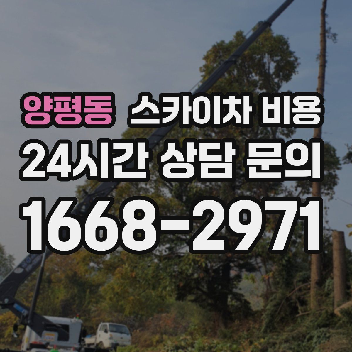 양평동 스카이차 비용