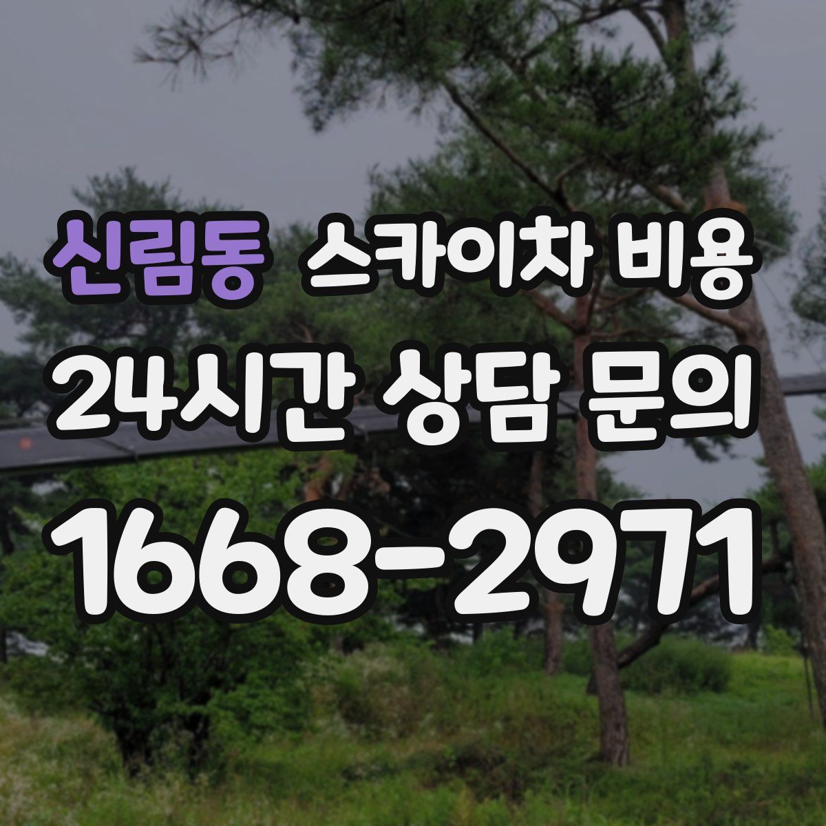 신림동 스카이차 비용