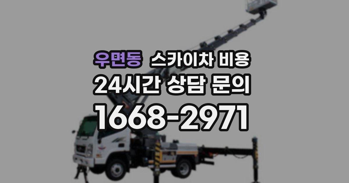 우면동 스카이차 비용