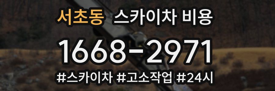 서초동 스카이차 비용