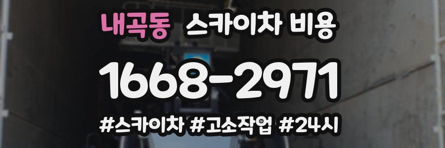 내곡동 스카이차 비용