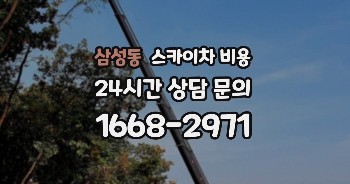 삼성동 스카이차 비용