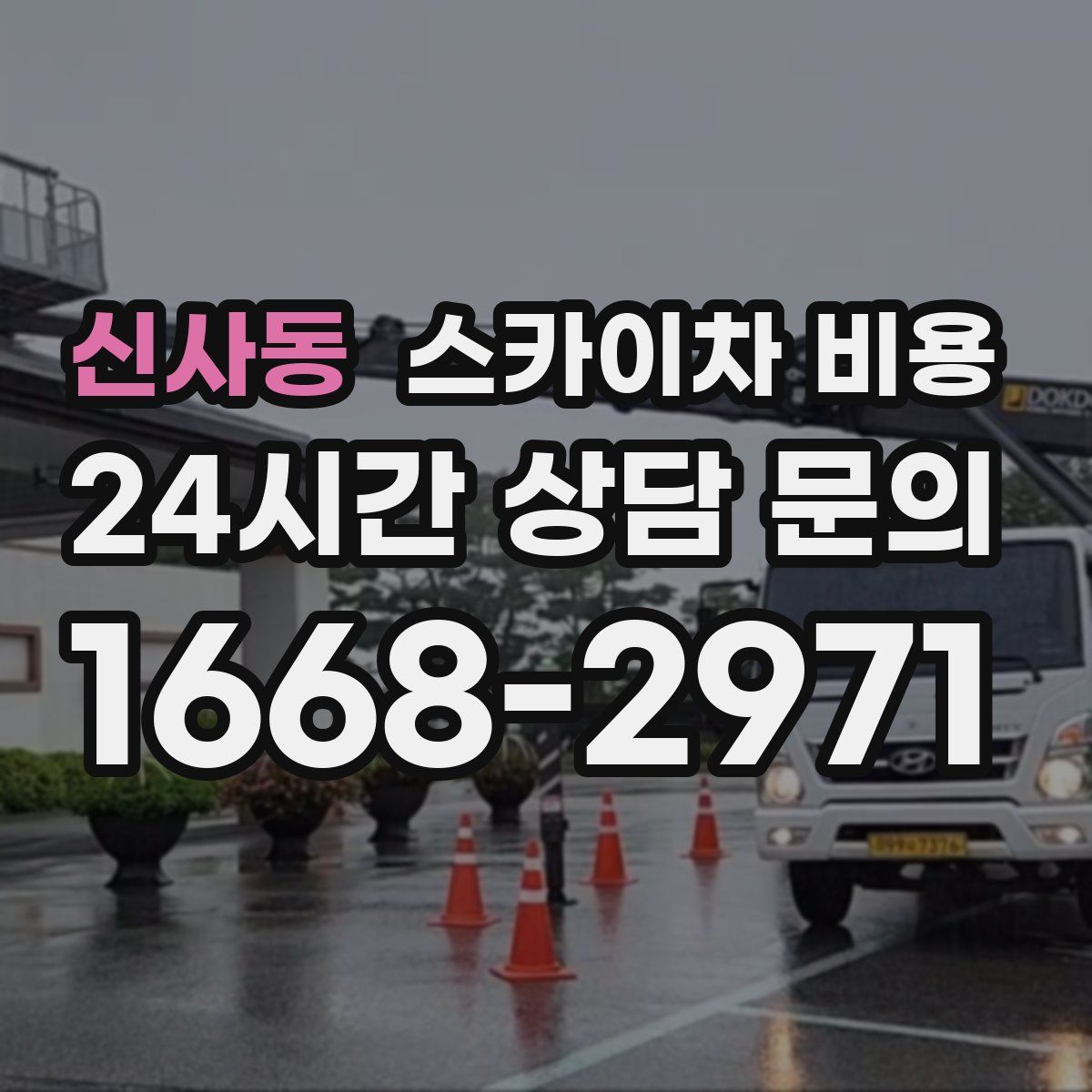 신사동 스카이차 비용