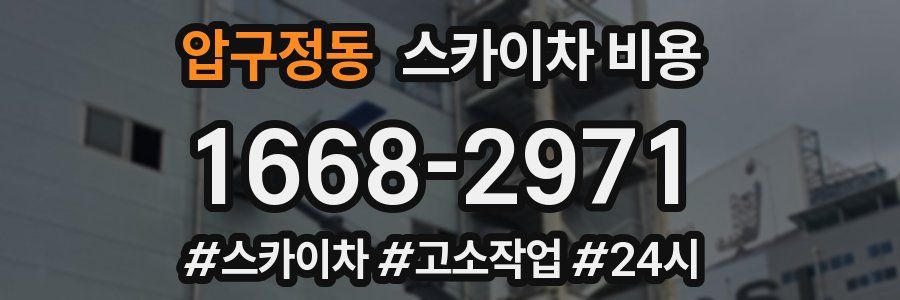 압구정동 스카이차 비용