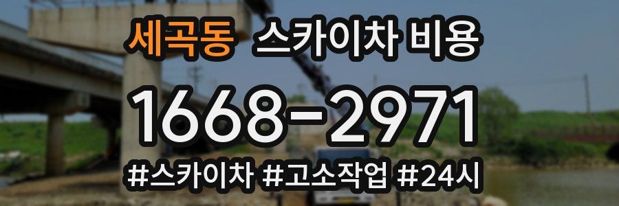 세곡동 스카이차 비용