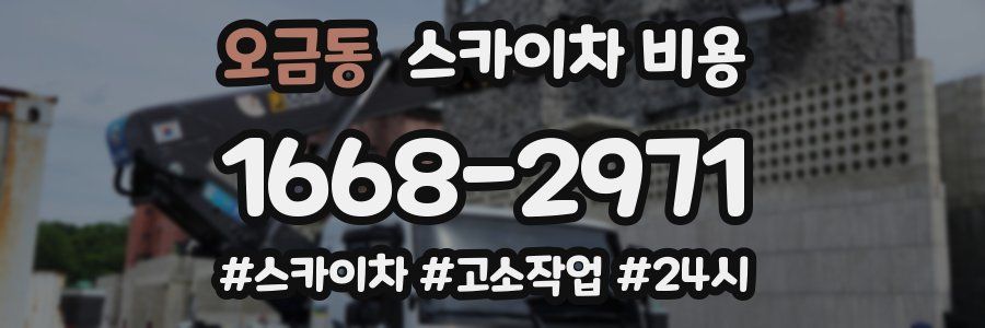 오금동 스카이차 비용