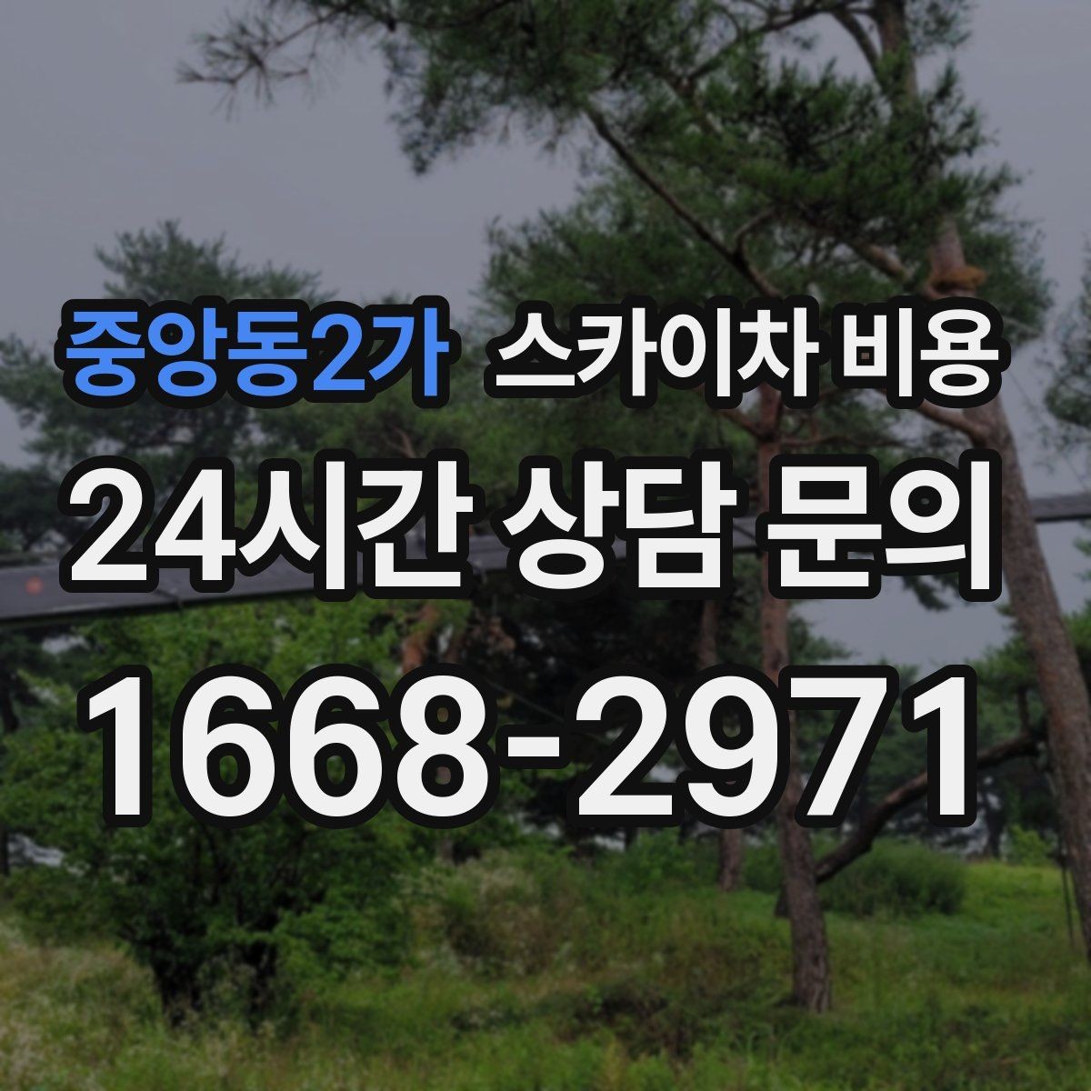 중앙동2가 스카이차 비용 간판+조명+코킹을 하루에 끝내는 방법