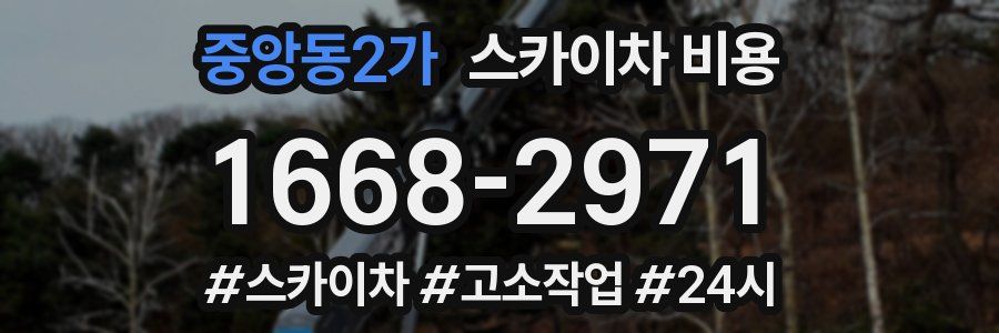 중앙동2가 스카이차 비용