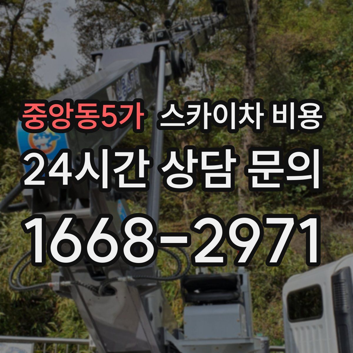 중앙동5가 스카이차 비용