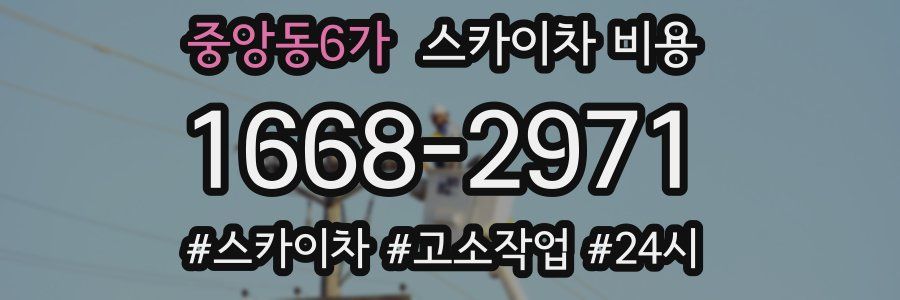 중앙동6가 스카이차 비용