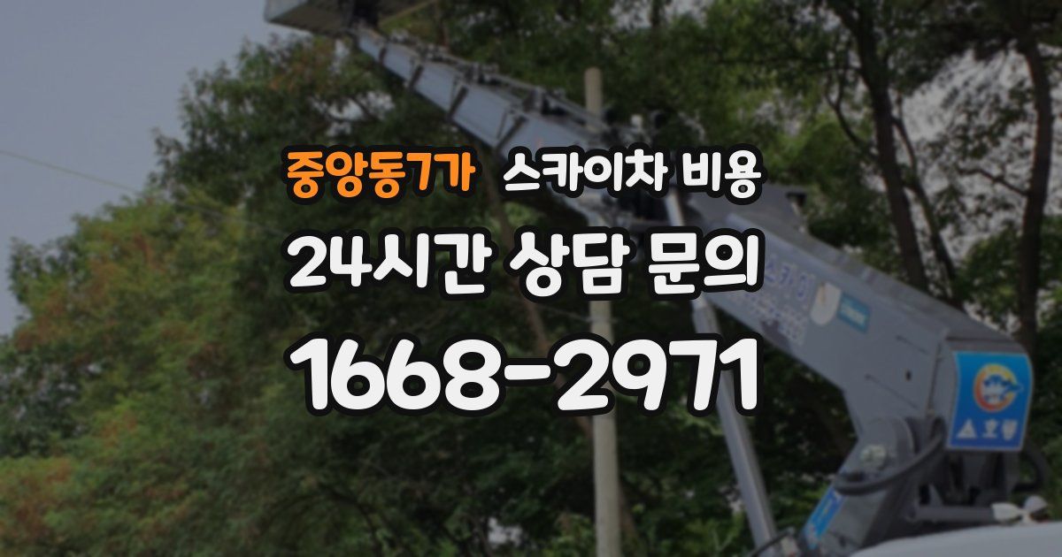 중앙동7가 스카이차 비용