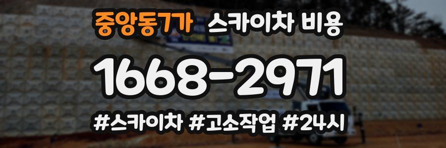 중앙동7가 스카이차 비용