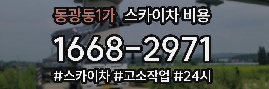 동광동1가 스카이차 비용