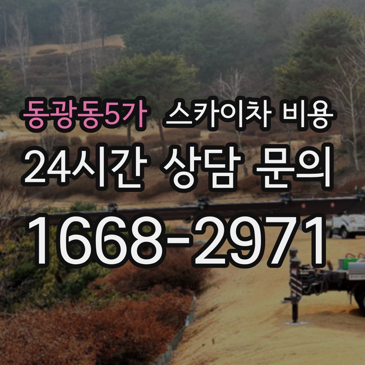 동광동5가 스카이차 비용