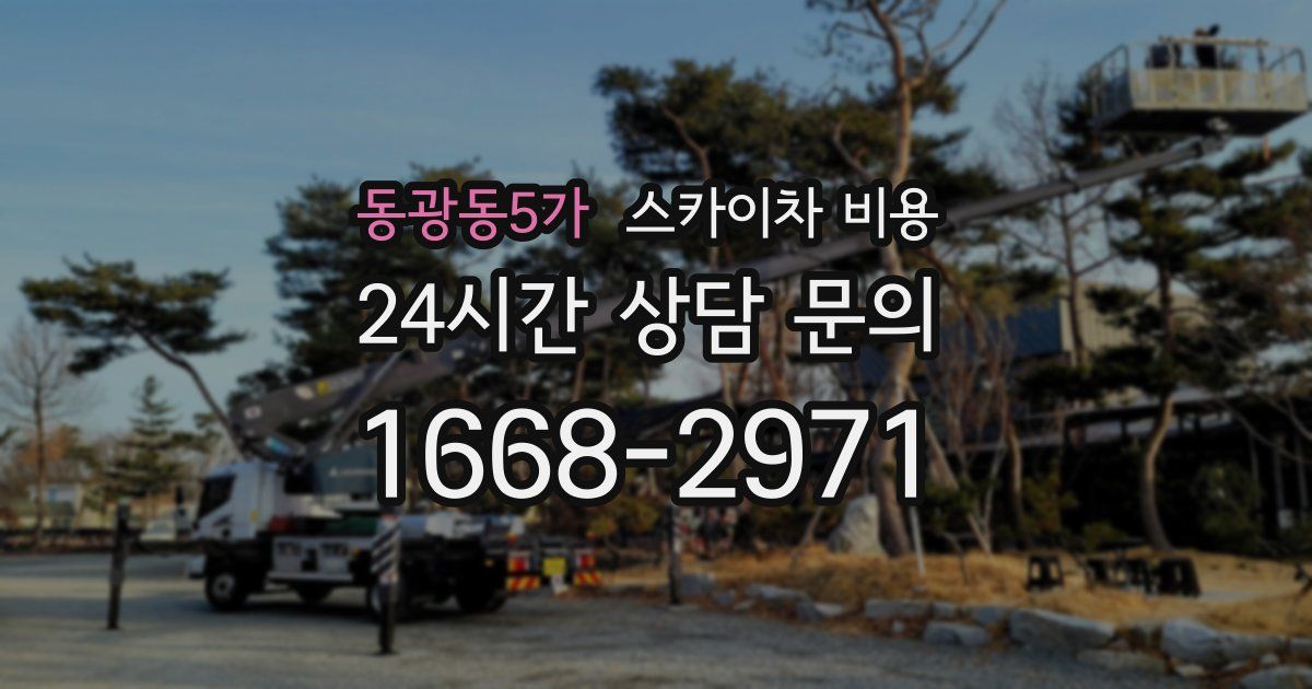 동광동5가 스카이차 비용