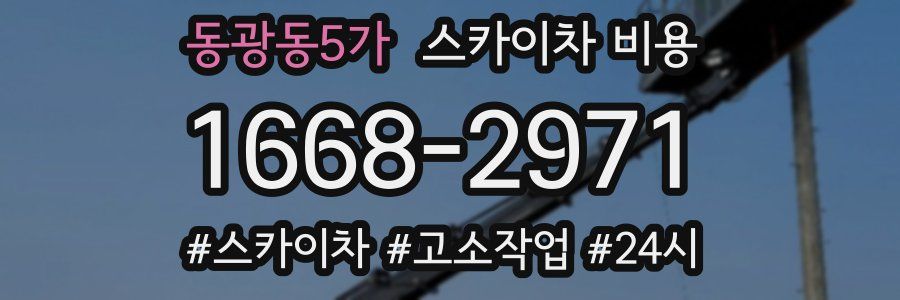 동광동5가 스카이차 비용
