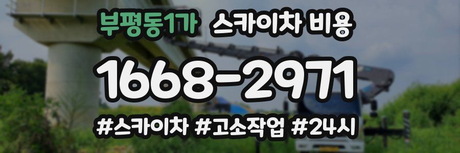 부평동1가 스카이차 비용