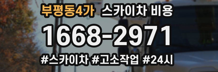 부평동4가 스카이차 비용