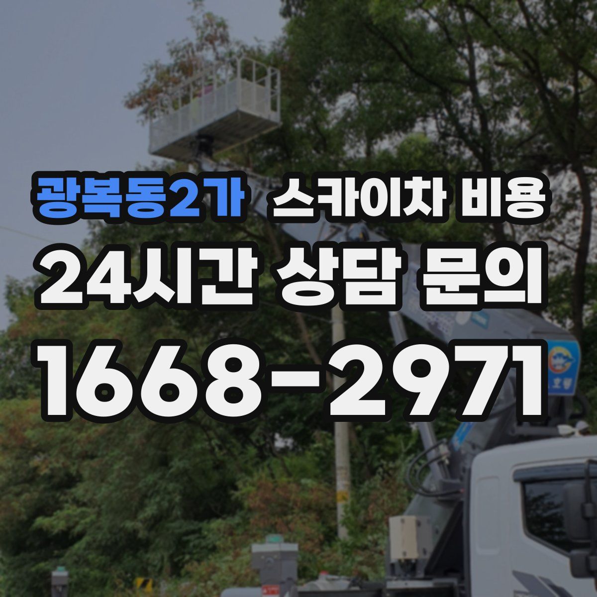 광복동2가 스카이차 비용