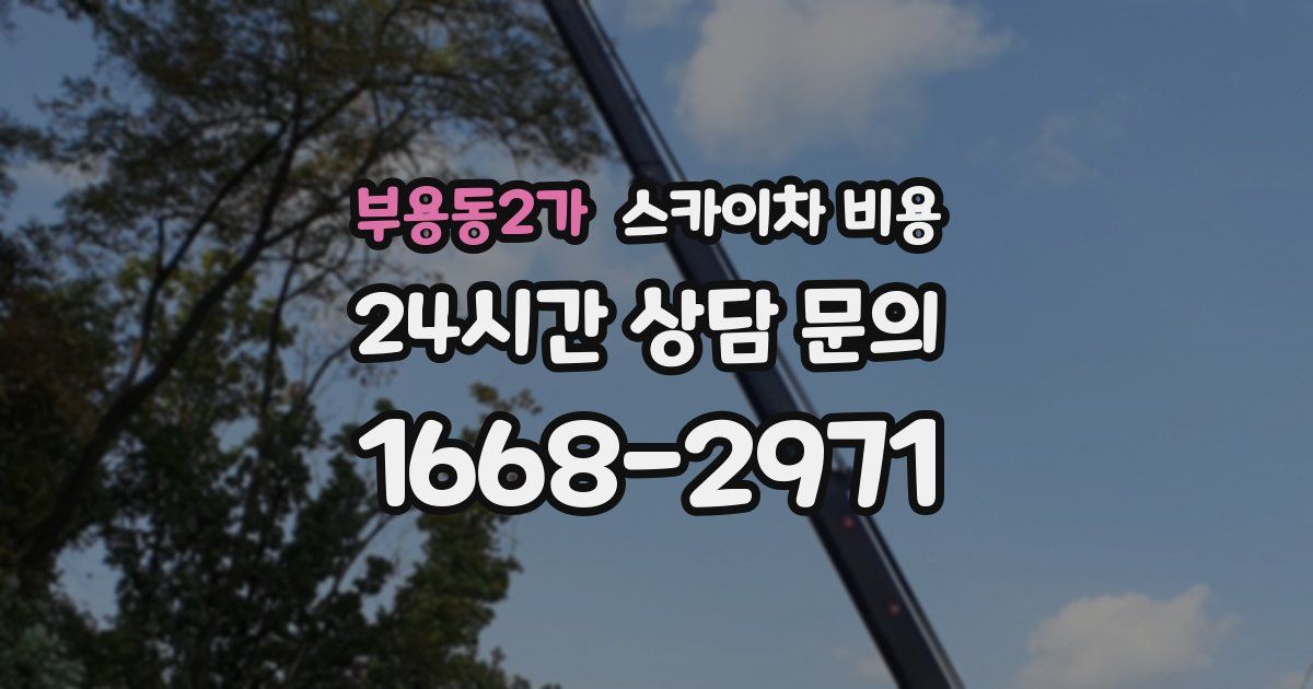 부용동2가 스카이차 비용