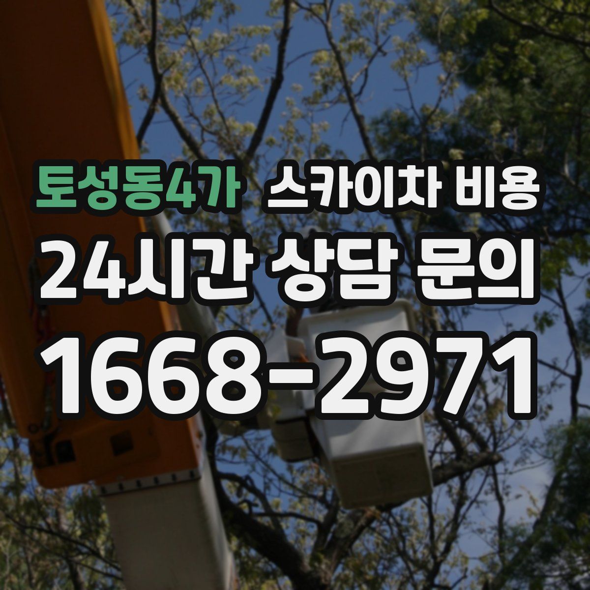 토성동4가 스카이차 비용