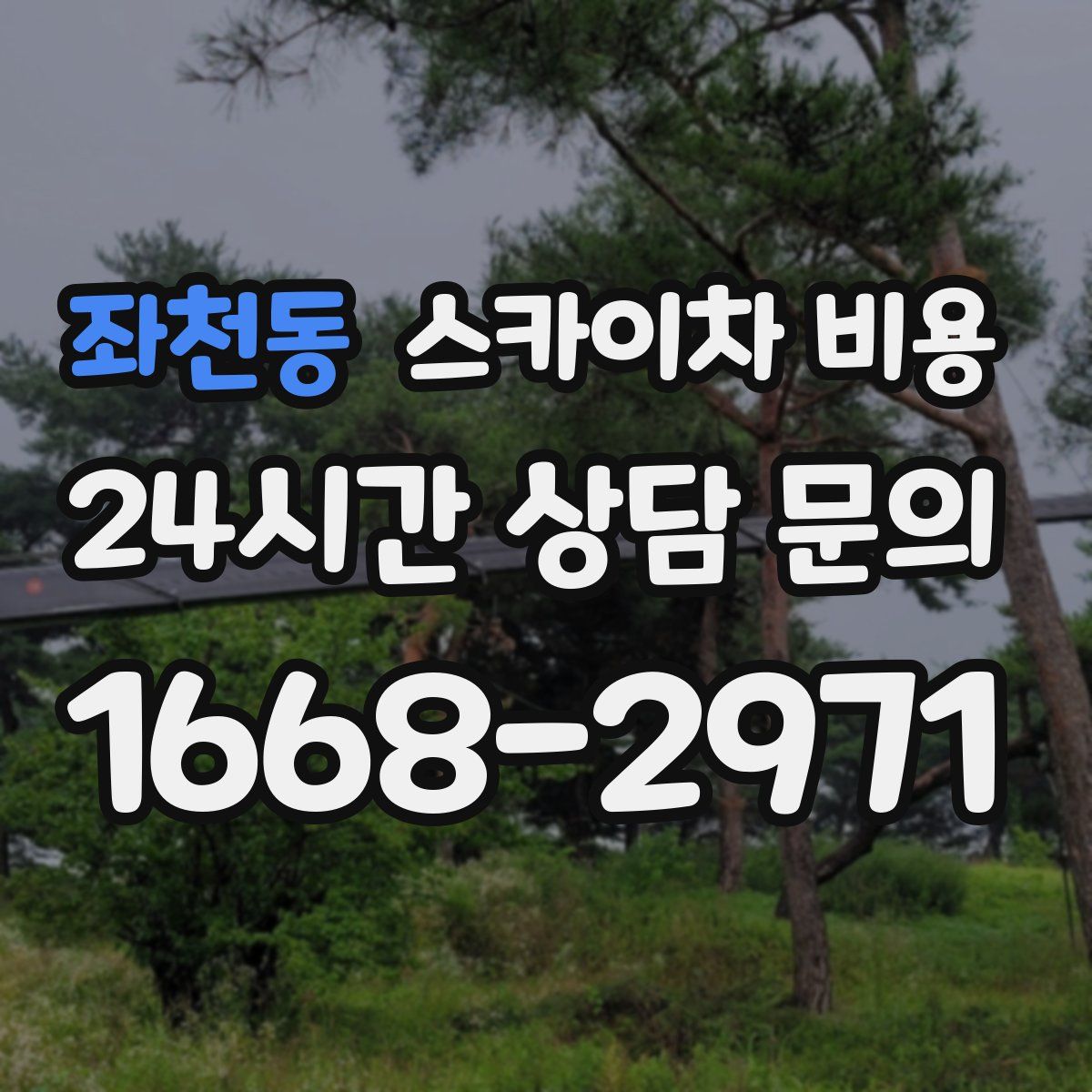 좌천동 스카이차 비용