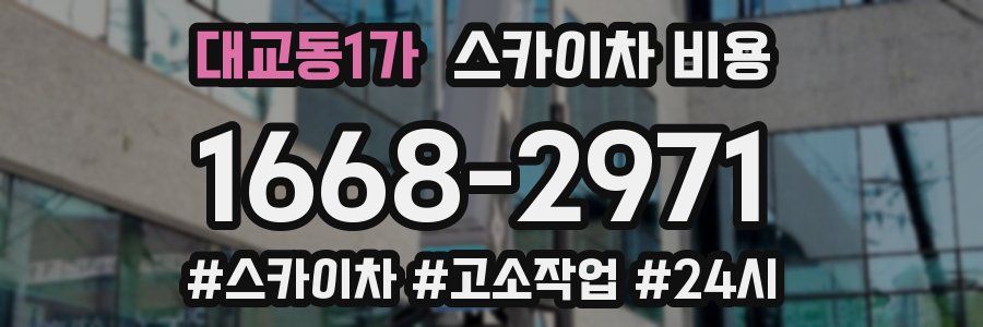 대교동1가 스카이차 비용