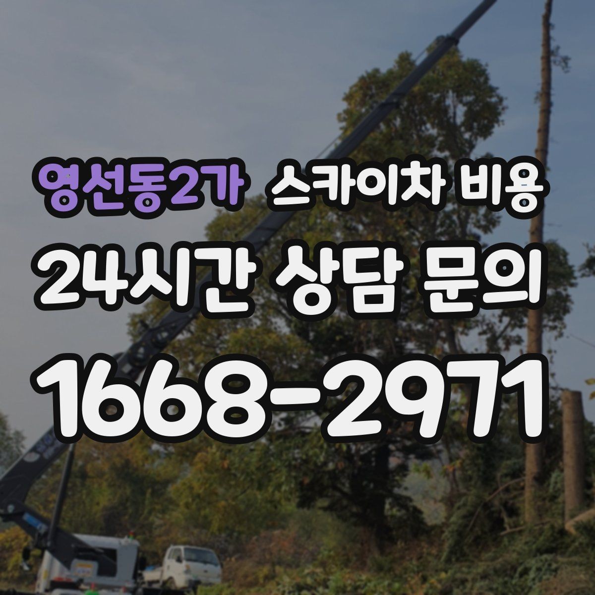 영선동2가 스카이차 비용 날씨 변수까지 고려한 일정 짜는 방법