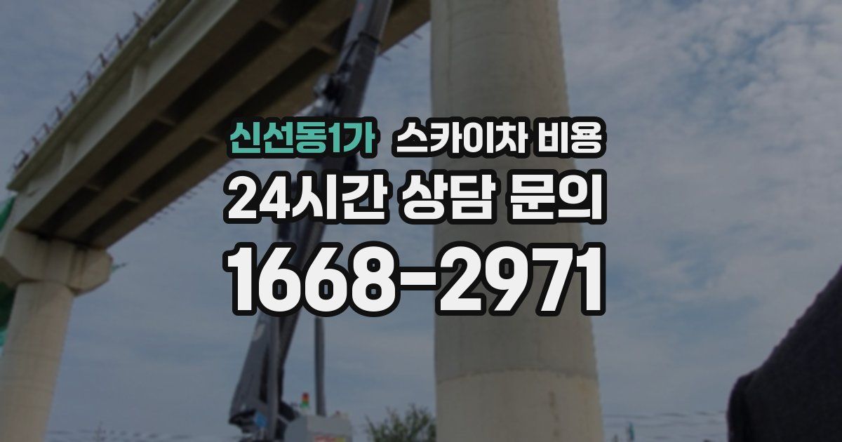 신선동1가 스카이차 비용