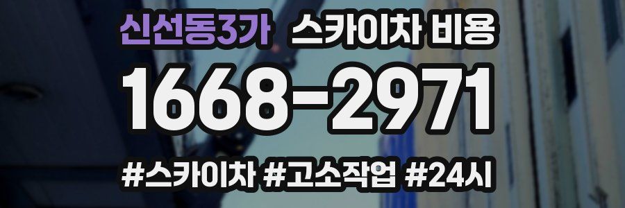 신선동3가 스카이차 비용