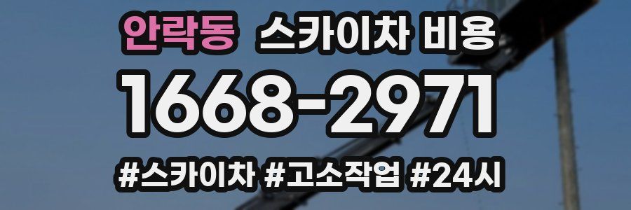 안락동 스카이차 비용