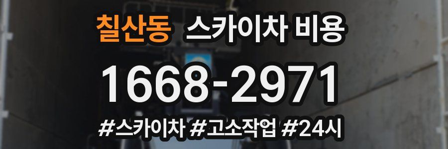 칠산동 스카이차 비용