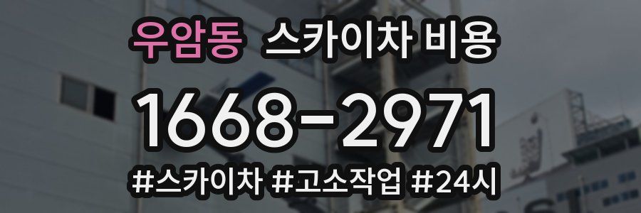 우암동 스카이차 비용