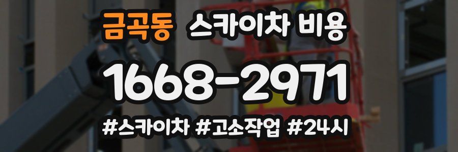 금곡동 스카이차 비용