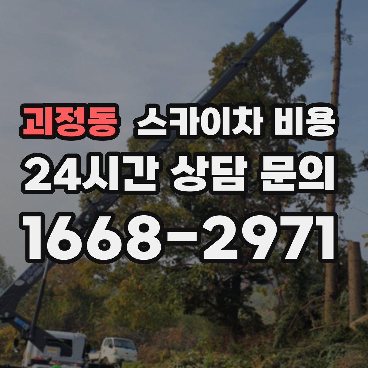 괴정동 스카이차 비용 수목 전정은 무엇을 기준으로 견적이 나올까