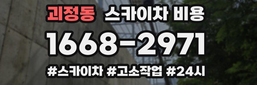 괴정동 스카이차 비용