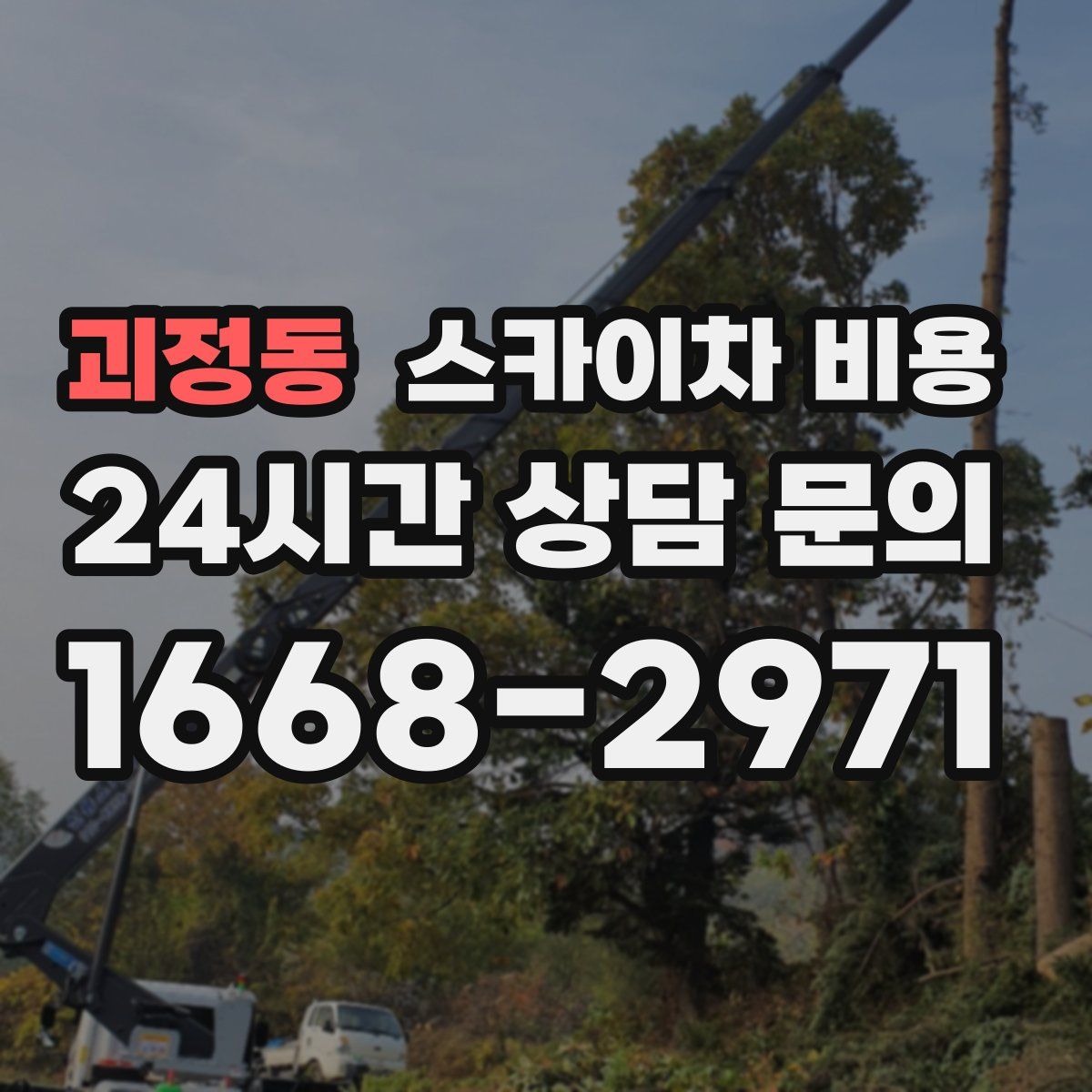 괴정동 스카이차 비용