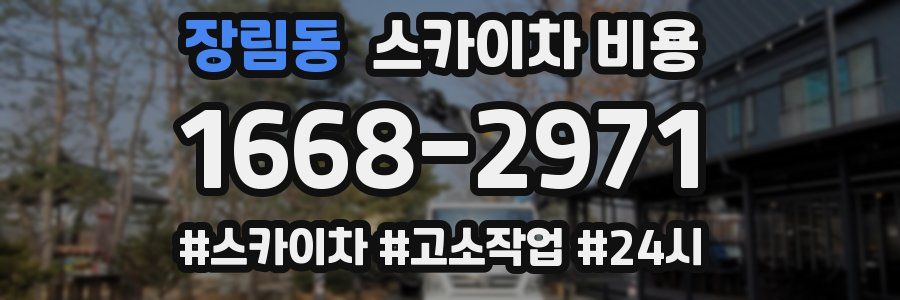 장림동 스카이차 비용