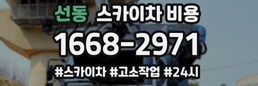 선동 스카이차 비용