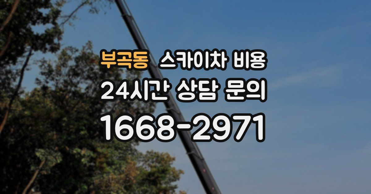 부곡동 스카이차 비용