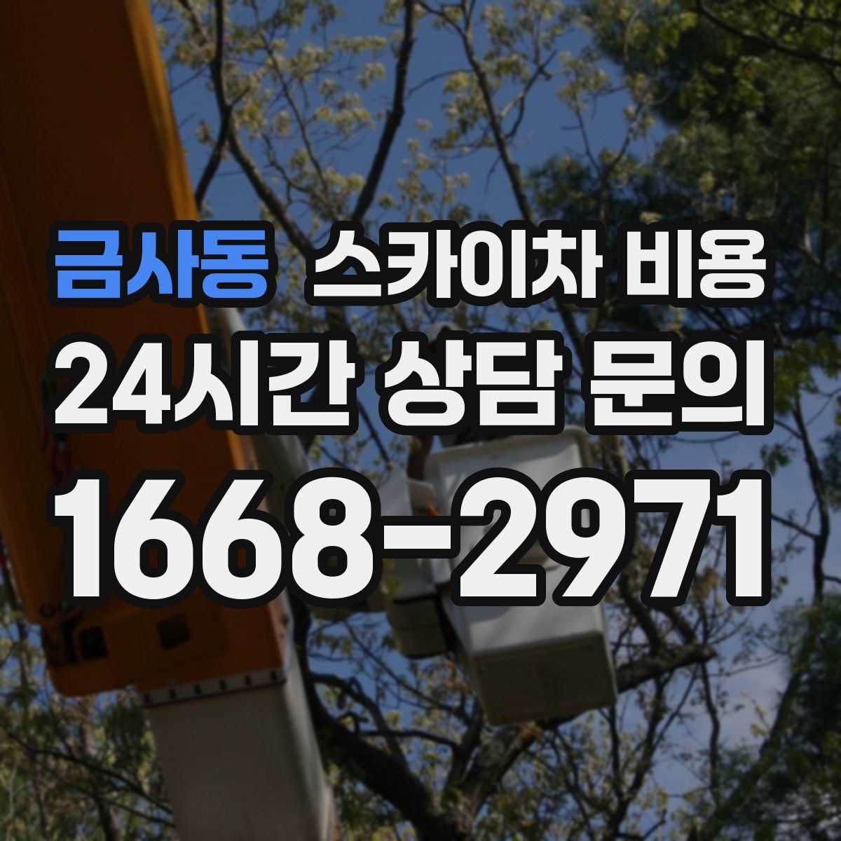 금사동 스카이차 비용