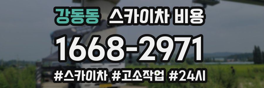 강동동 스카이차 비용