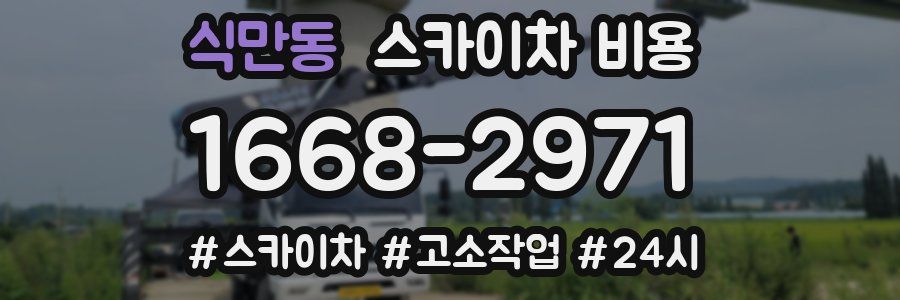 식만동 스카이차 비용