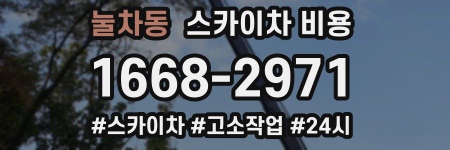 눌차동 스카이차 비용