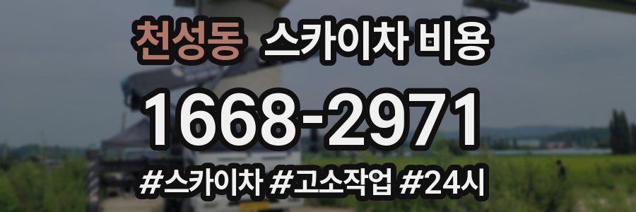 천성동 스카이차 비용